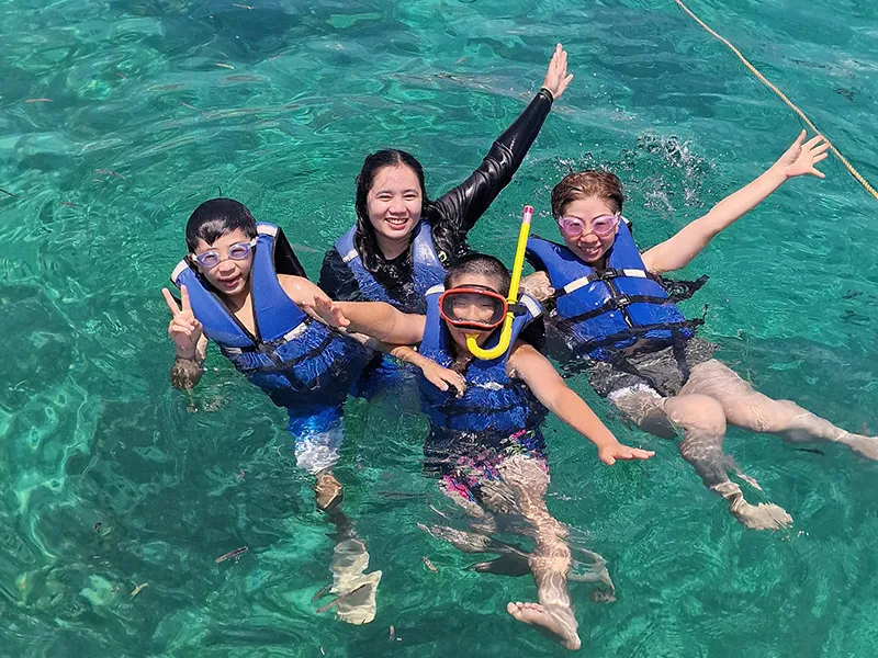 アクティビティ