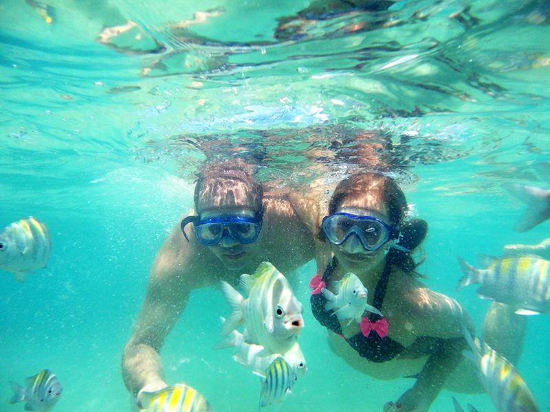 https://dhea-cebu.com/wp-content/uploads/2025/10/Activity_012.jpg